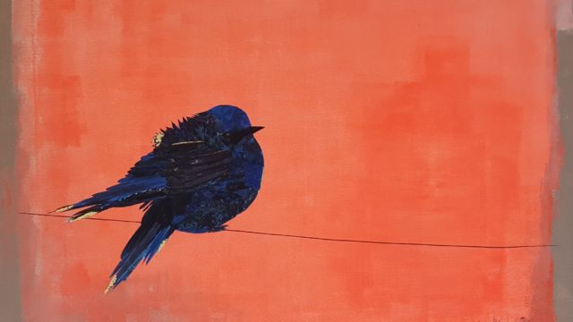 Oiseau bleu des montagnes - 60x73cm